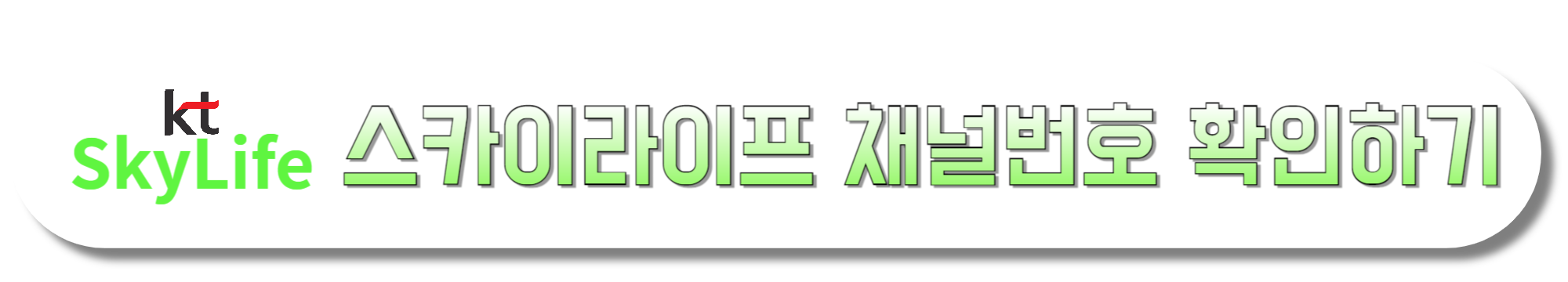 KT-스카이라이프-채널번호-확인하기