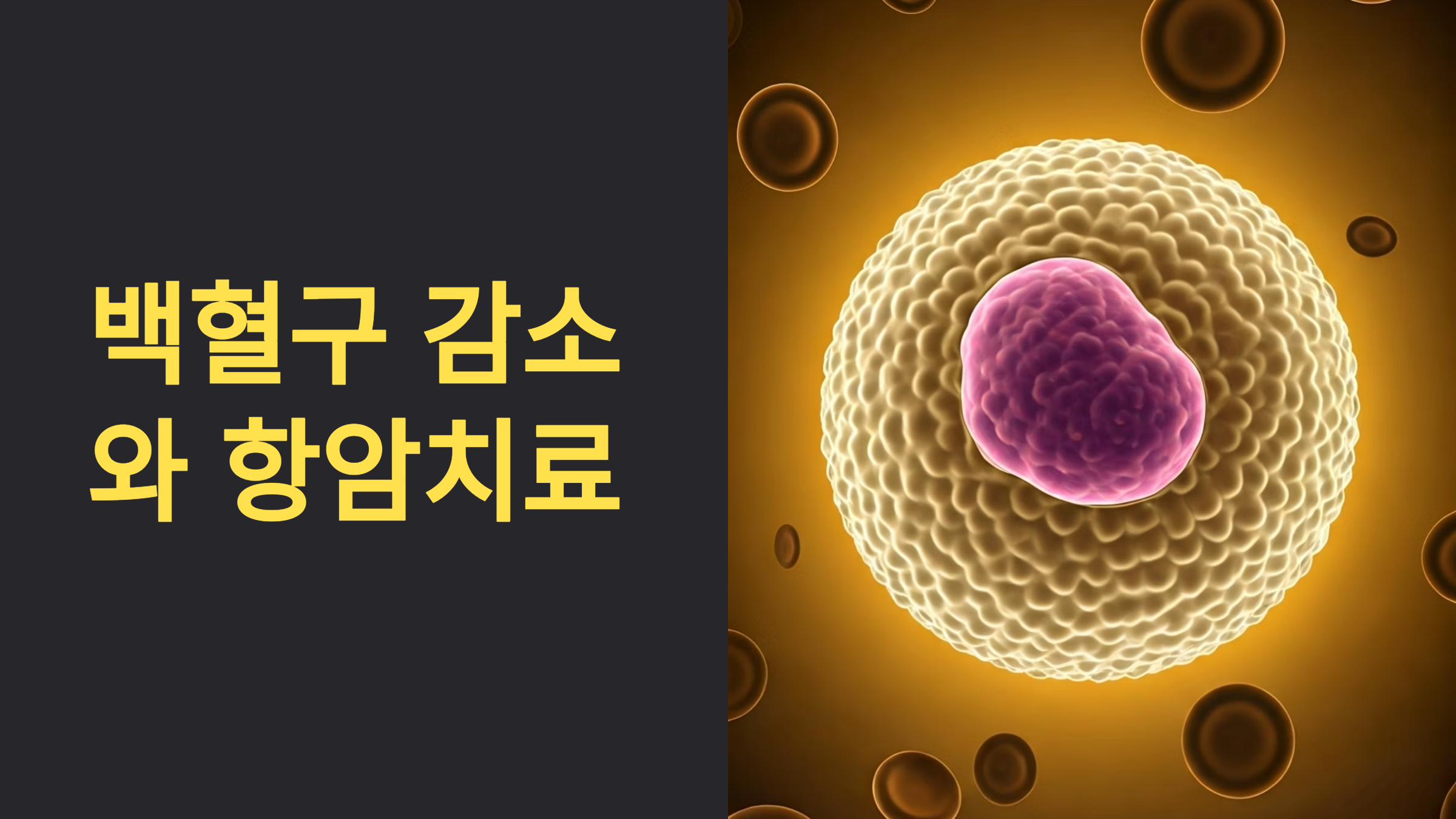 백혈구 감소와 항암치료