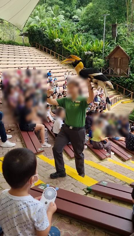 주롱 새 공원 Jurong Bird Park