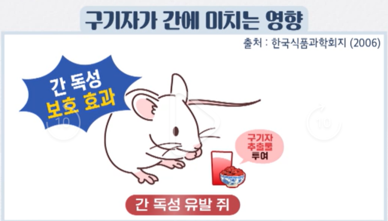 구기자 효능