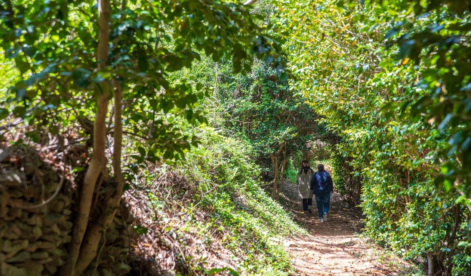 여수 금오도 비렁길