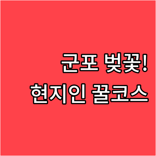 군포 벚꽃 개화 시기 및 현지인 추천..