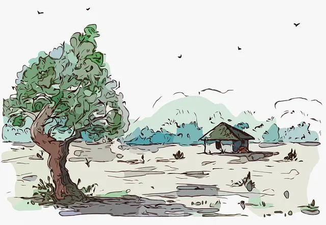 토지 보상 과정에서 수목 가치 산정 기준을 시각적으로 정리한 드론뷰 이미지