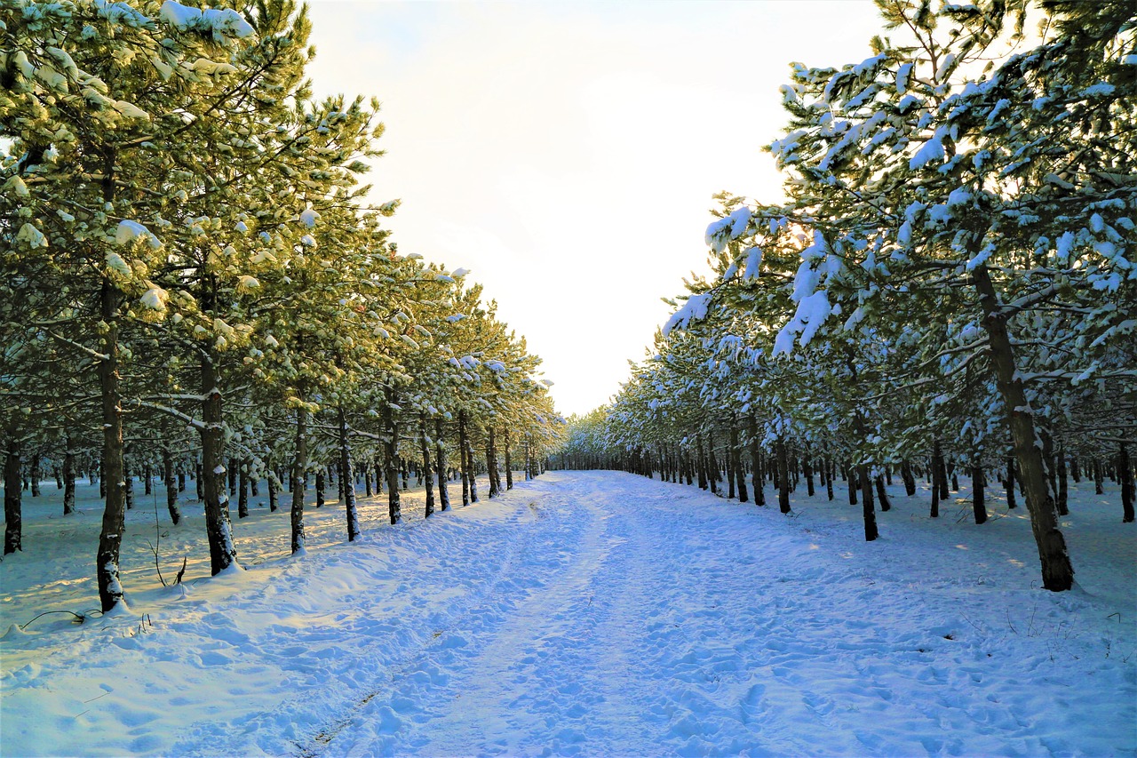 감기 몸살 빨리 낫는법
