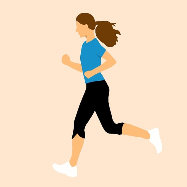 제16회 금융투자인 마라톤대회 일정 코스 정보 완주 전략 불스레이스
