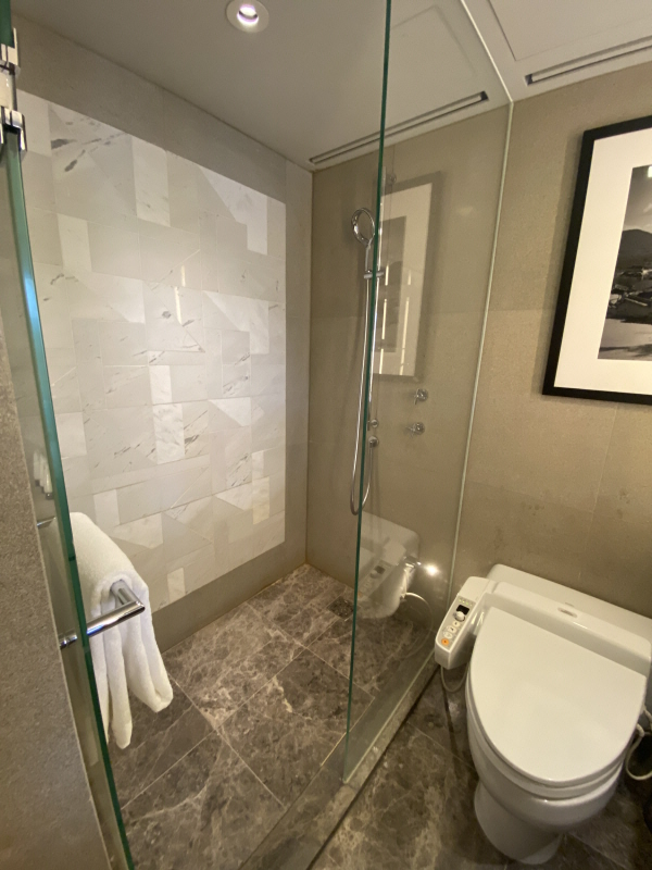 그랜드하얏트 서울 호텔 이용 후기 서울 호캉스 호텔 추천