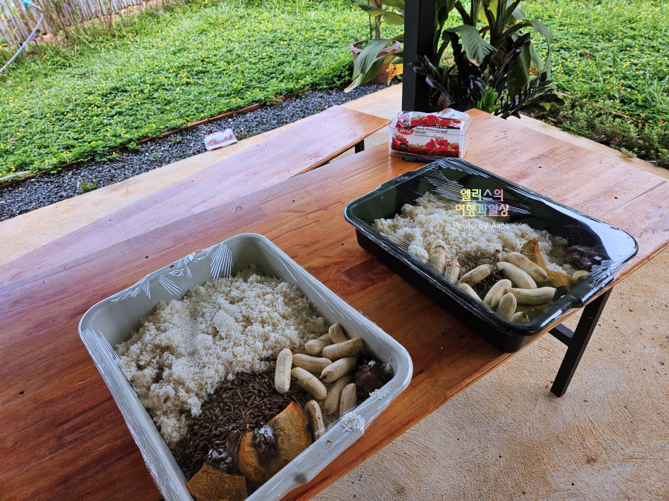 푸켓 가볼만한곳, 엘리펀트 정글 생츄어리 코끼리 샤워시키기 밥주기 후기