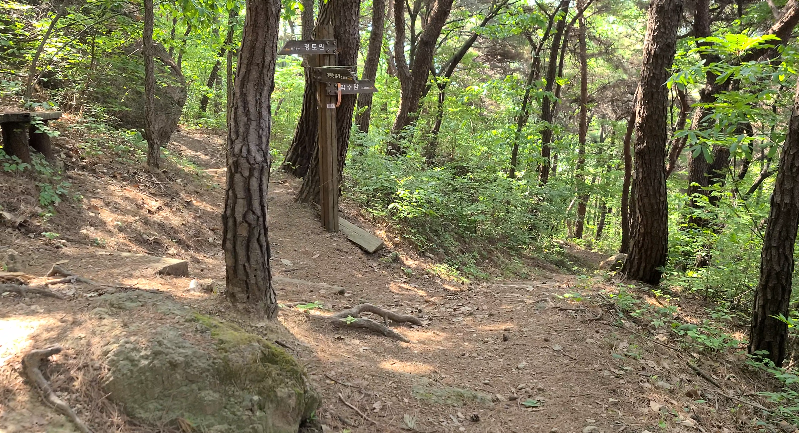 김해 봉하마을 봉화산