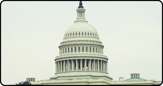 미국 대선 결과 발표 실시간 현황 확인해 보세요!