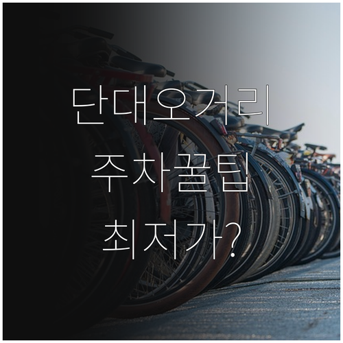 단대오거리역 주변 주차장 이용 정보 ..