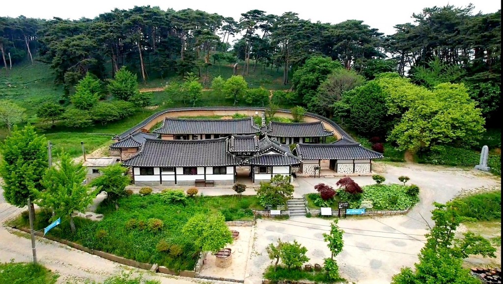 서산 유기방가옥 수선화 축제