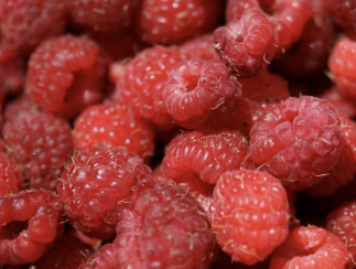 유방암에 좋은음식 11