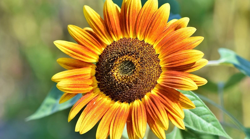 1. 건설업계 여성의 진출 현황