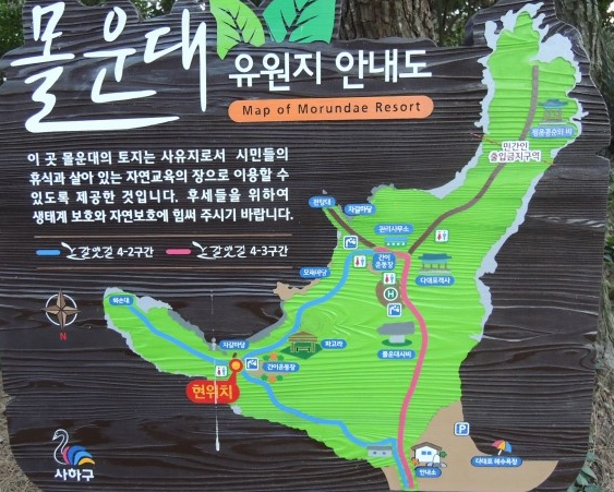 몰운대