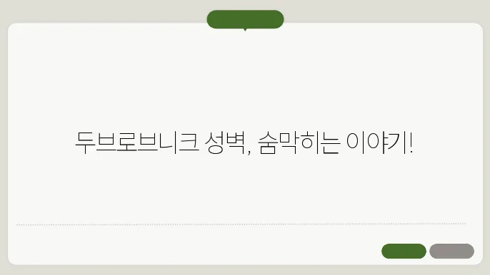 두브로브니크 성벽 투어