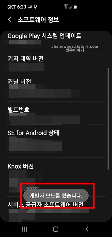 개발자 모드 활성화 알림 확인