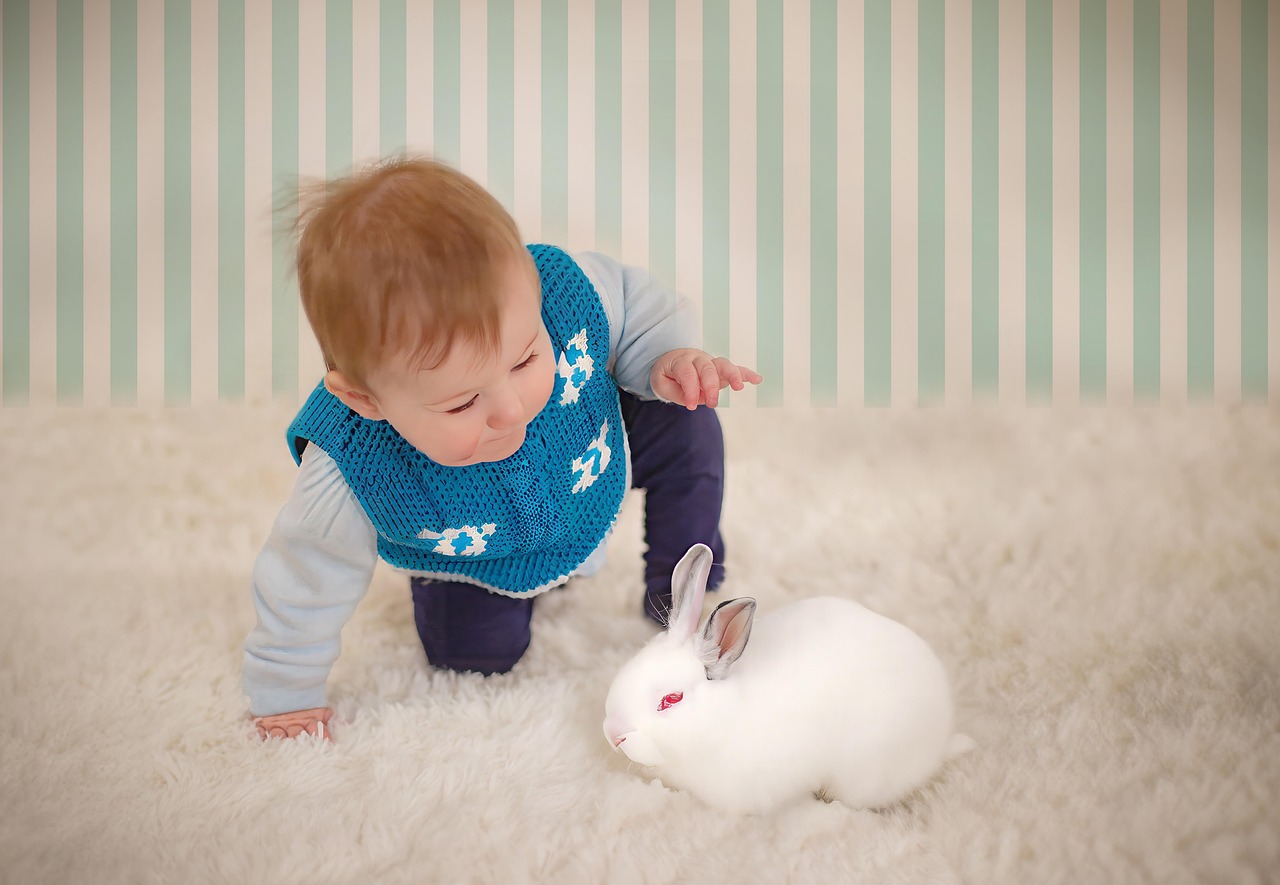 사람과 애정 표현을 하며 교감 하는 토끼