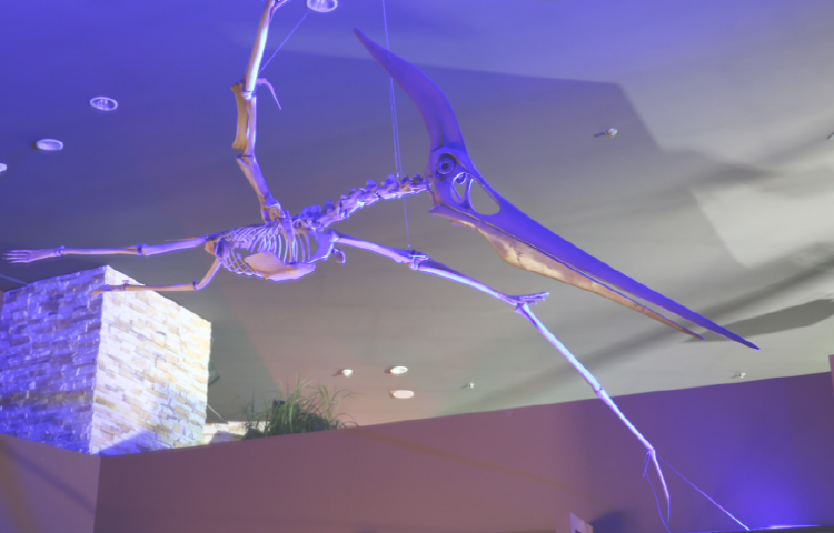 해남 공룡박물관