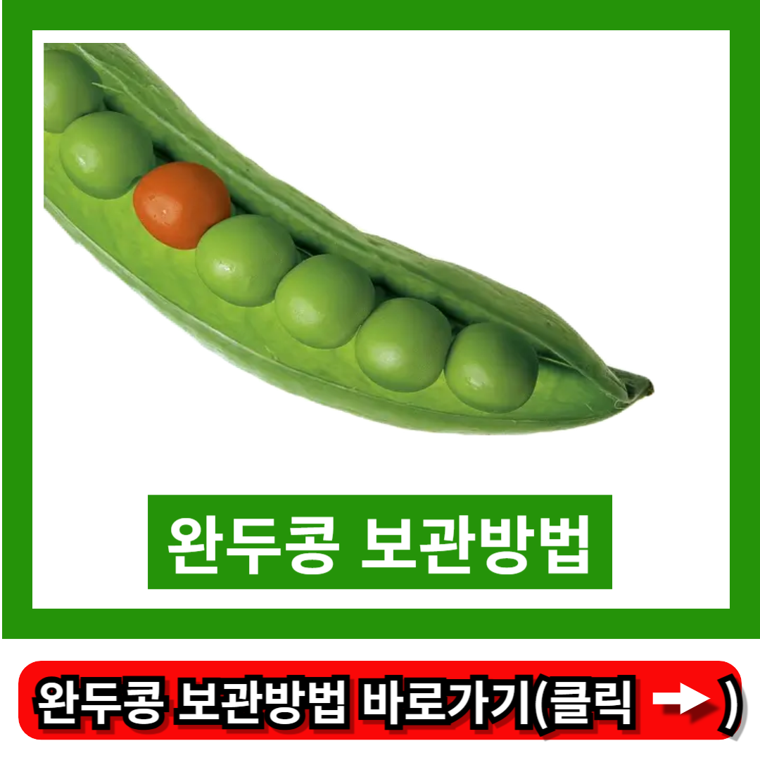 완두콩 보관방법