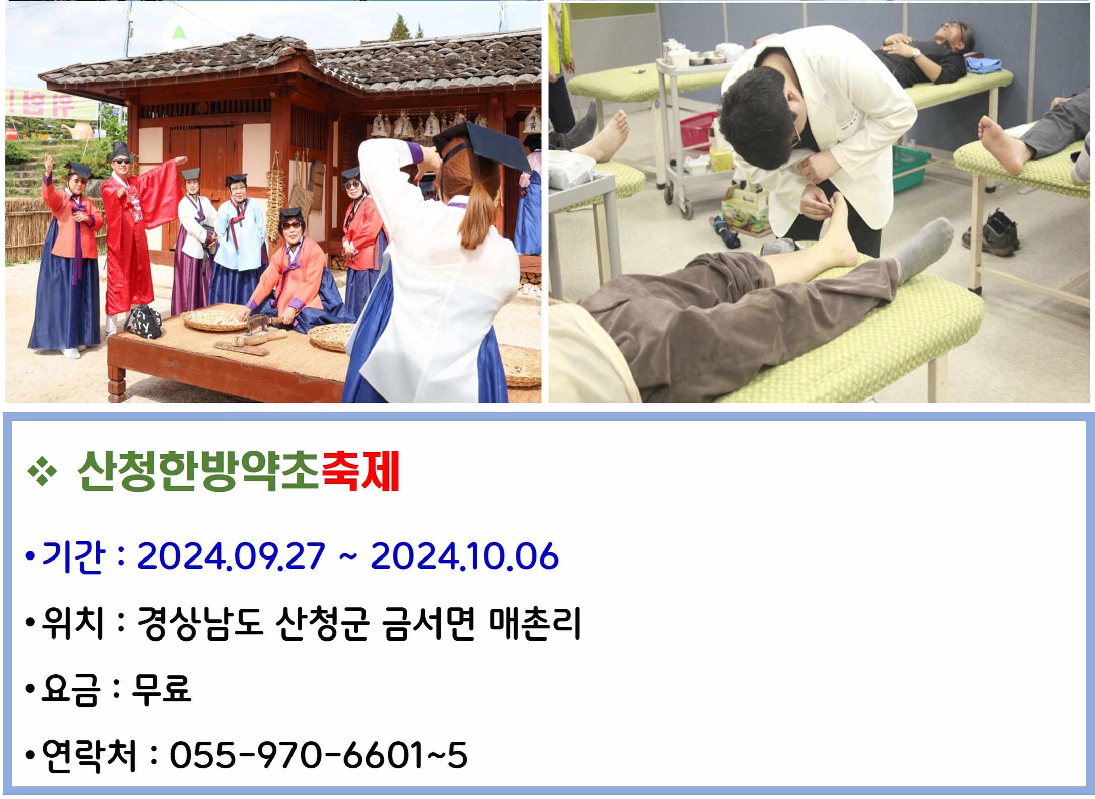 산청한방약초축제