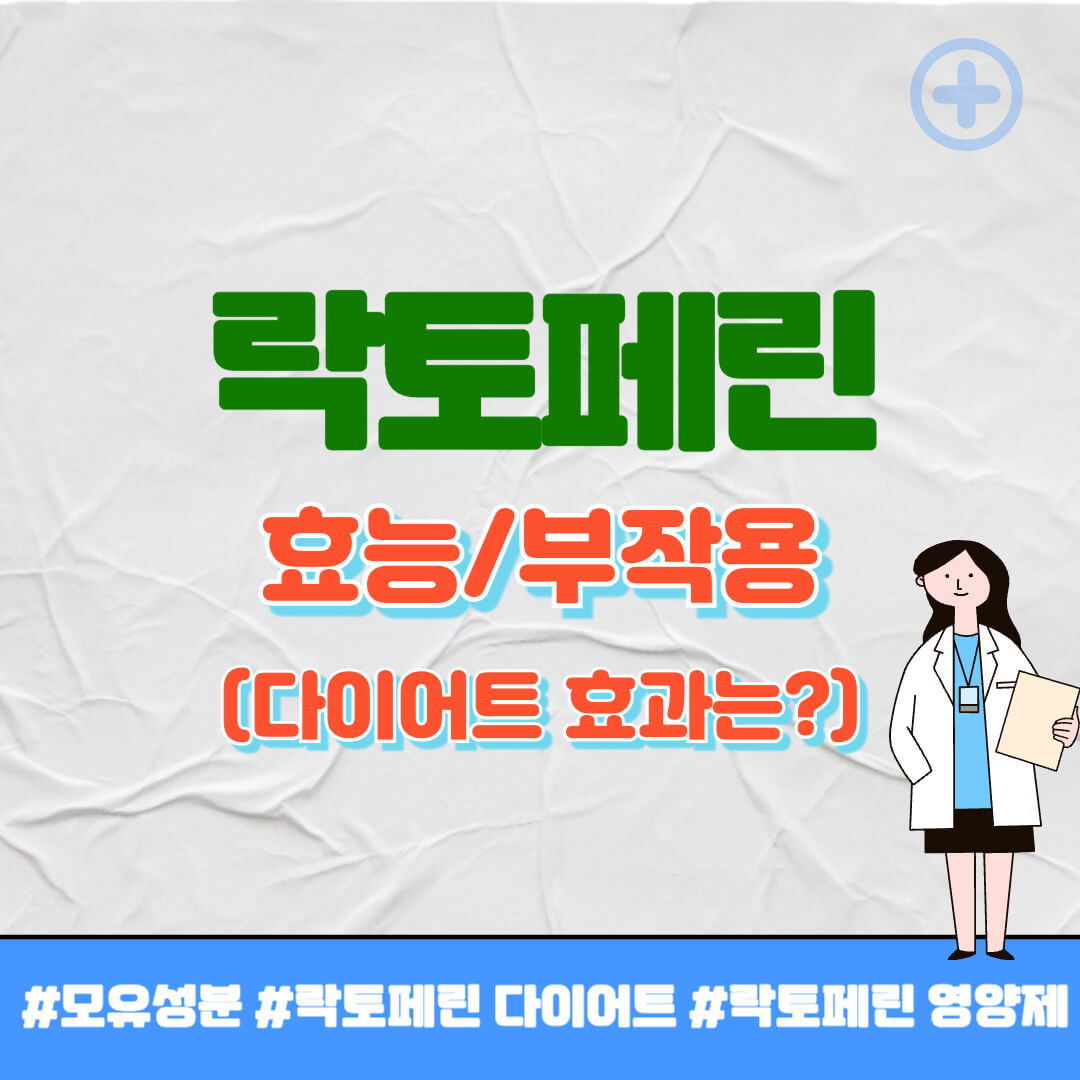 락토페린 효능 썸네일