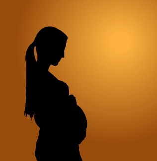 임산부 교통비 지원