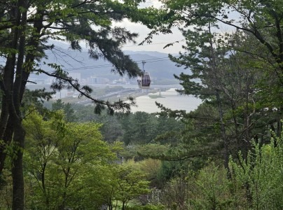 울진 왕피천 케이블카 요금 예약