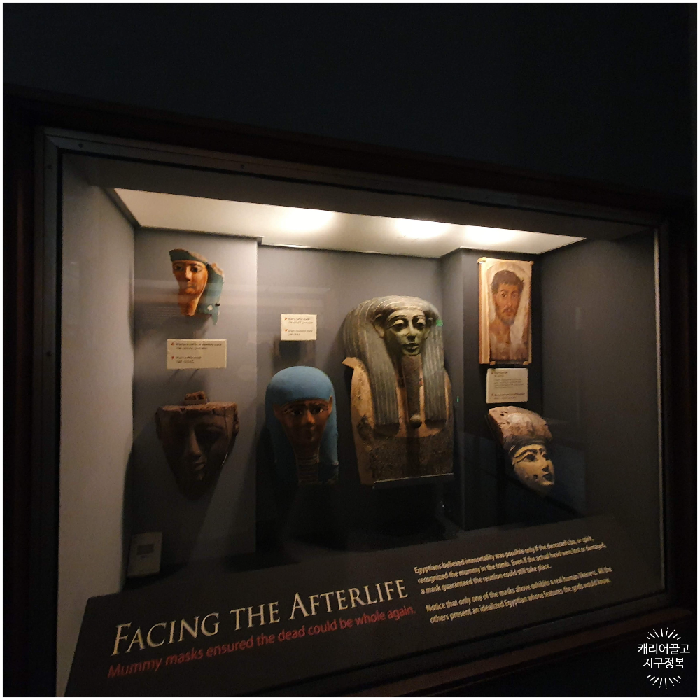 워싱턴 스미스소니언 국립 자연사 박물관