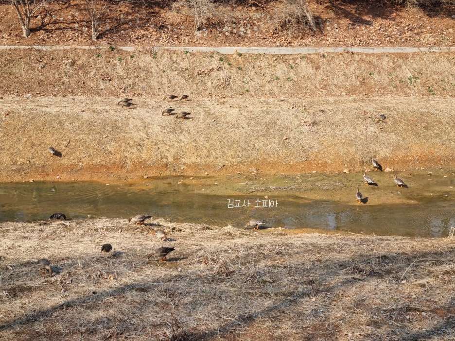 고양피크닉시민 공원 이용 후기 🏞️🌿&amp; 팁