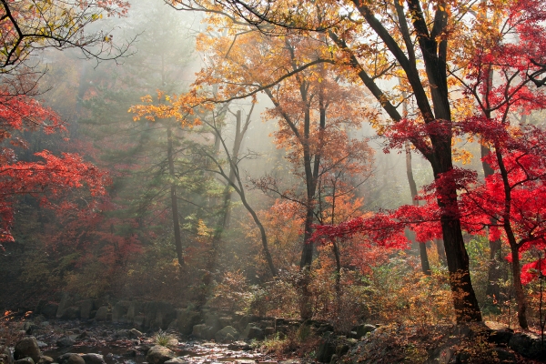 국립수목원 예약