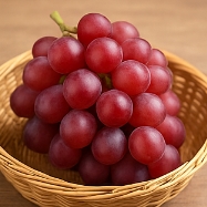 포도 종류