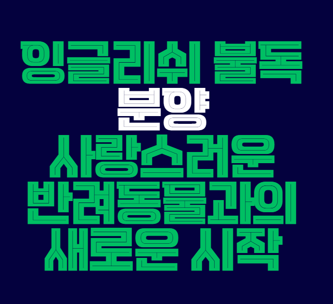 잉글리스_불독