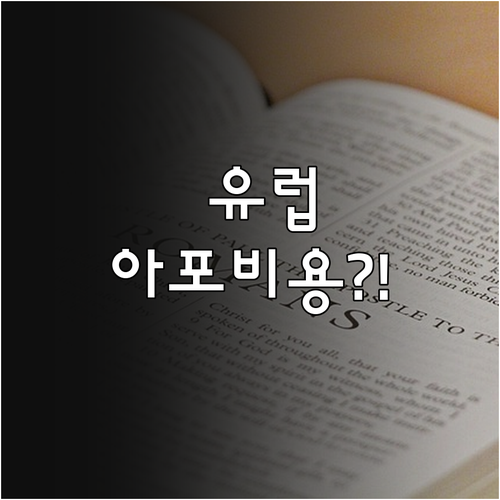 미국 유럽 아포스티유 비용 얼마나 들..
