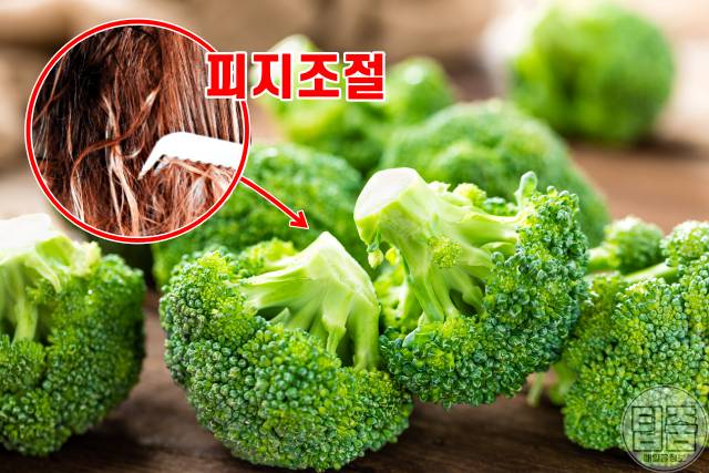 머릿결 좋아지는법,머릿결 좋아지는 음식 영양제,브로콜리,팁줌