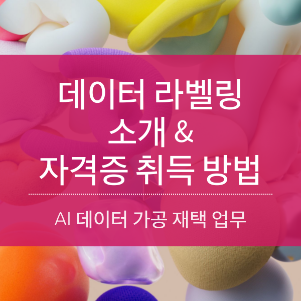 [재택업무] 데이터 라벨링 작업 및 자격증(AIDE 1, 2급 ) 취득 방법