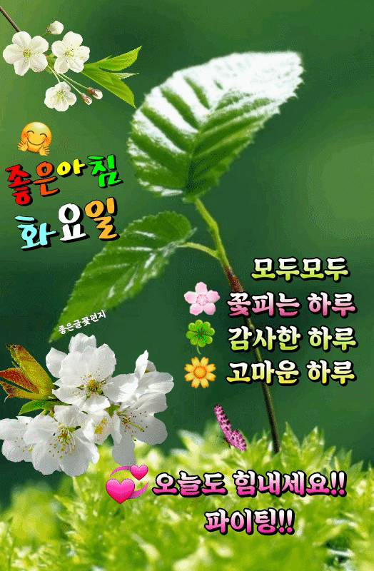 3. 화요일 인사말 8