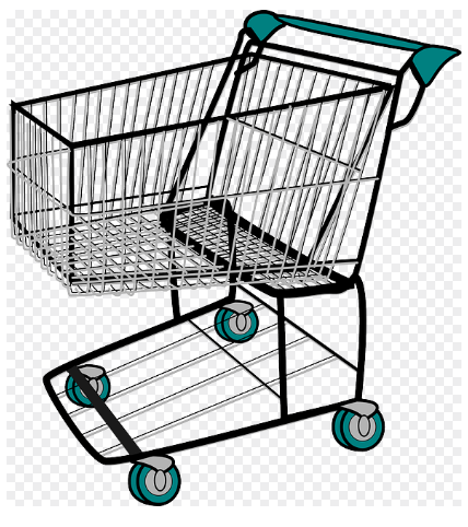 1년 동안 사지 않기 챌린지, 정말 필요한 것만 사는 법