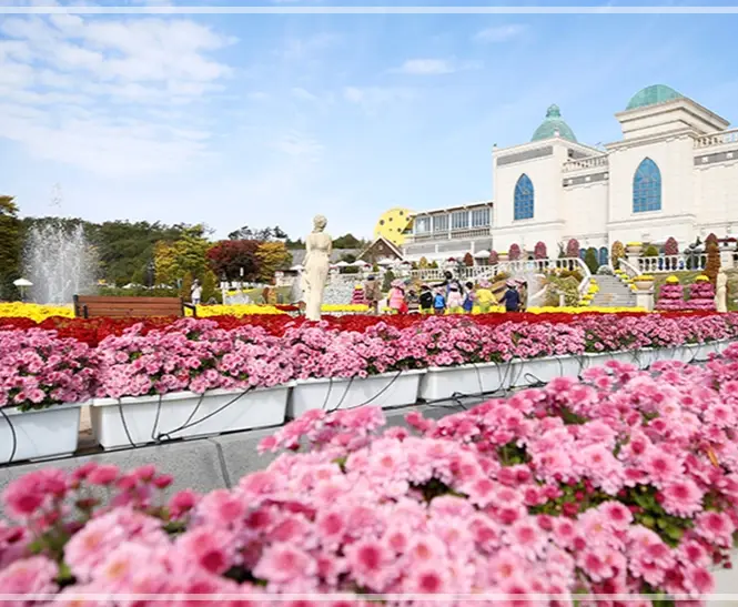 2025-임실N치즈-축제-일정-초대-가수-행사-프로그램