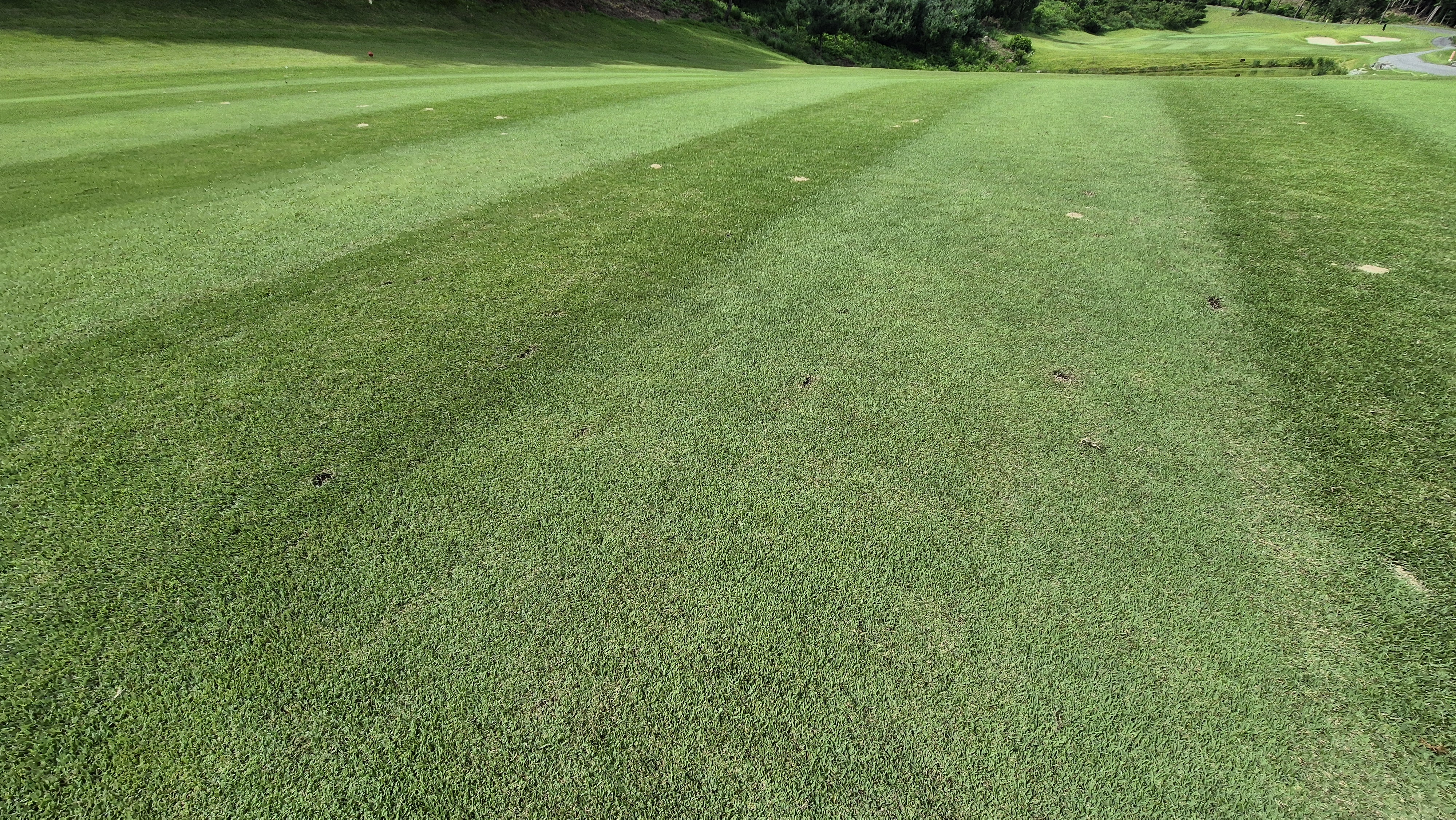 세일cc 들길-산길 코스 라운드 후기