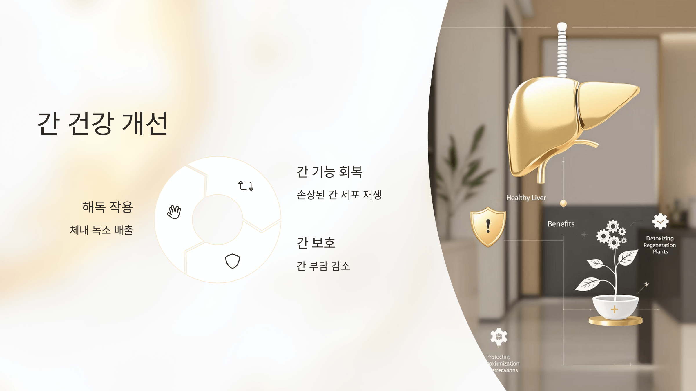 참외 사진입니다.