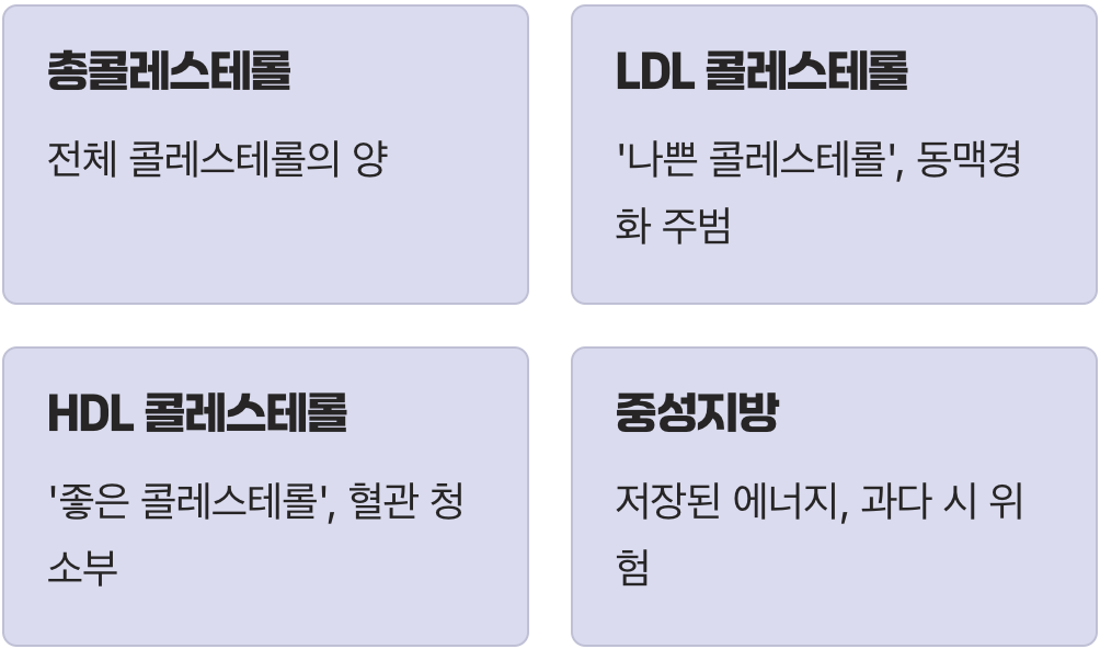내 피 속의 네 명의 선수, 지질 4총사
