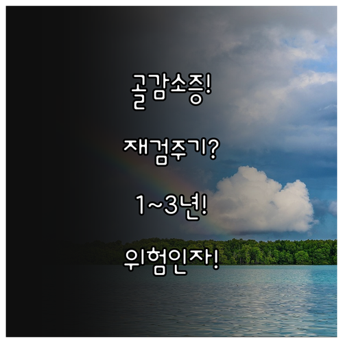 골감소증 진단 후 재검 주기 위험 인..