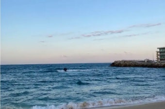 여름휴가 렌트카 완벽 가이드 (요금&middot;보험&middot;팁 총정리)