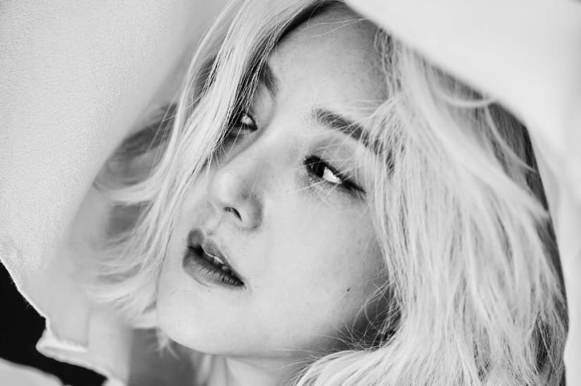 서울스프링페스타 ‘펀 나이트워크 5K’ 신청 방법과 코스 총정리 (3편)