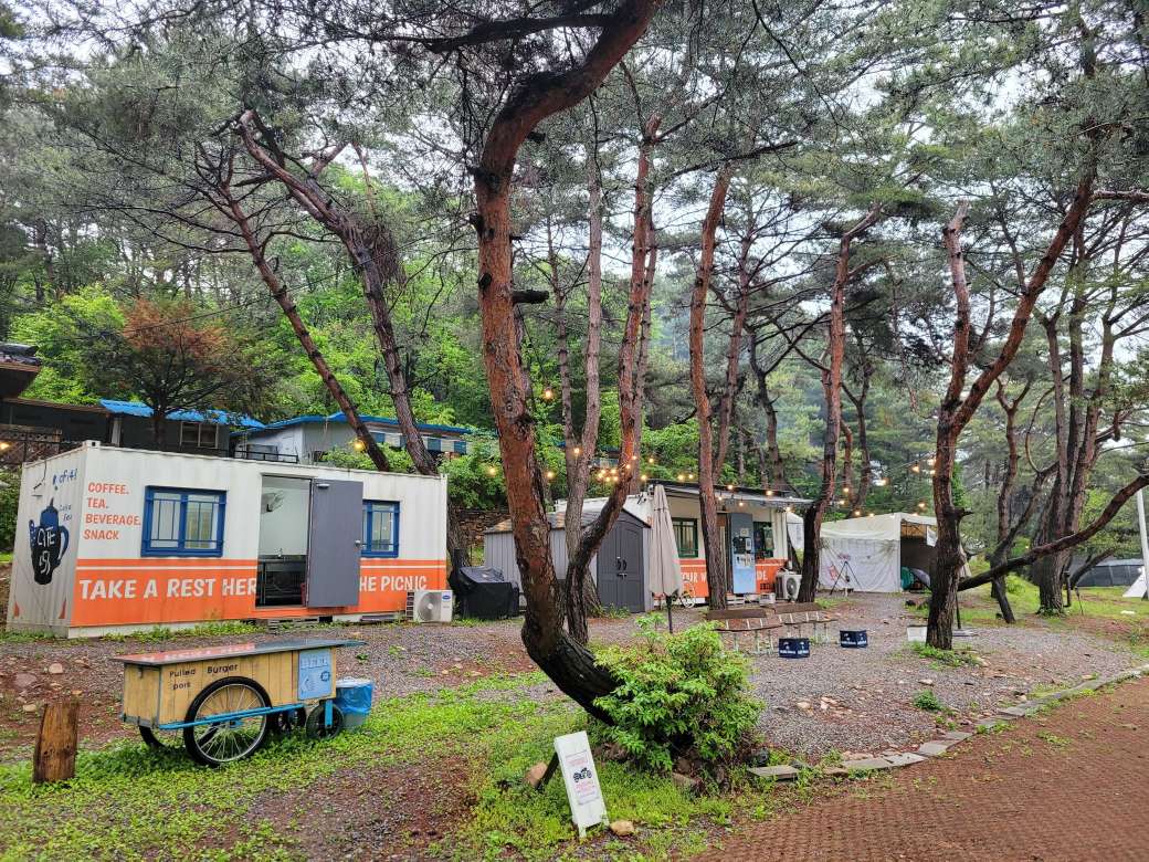 춘천 황금박쥐캠핑장 소개