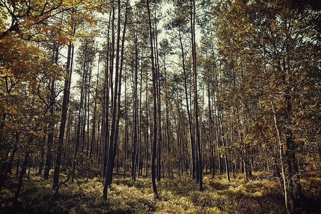 2023년 9월 초가을서울 인천 경기도 기온 강수량 날씨 일기 예보 전망2