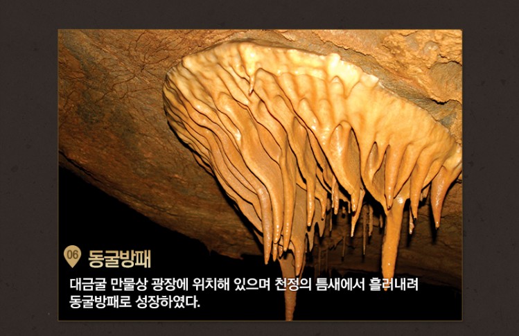대금굴 예약방법