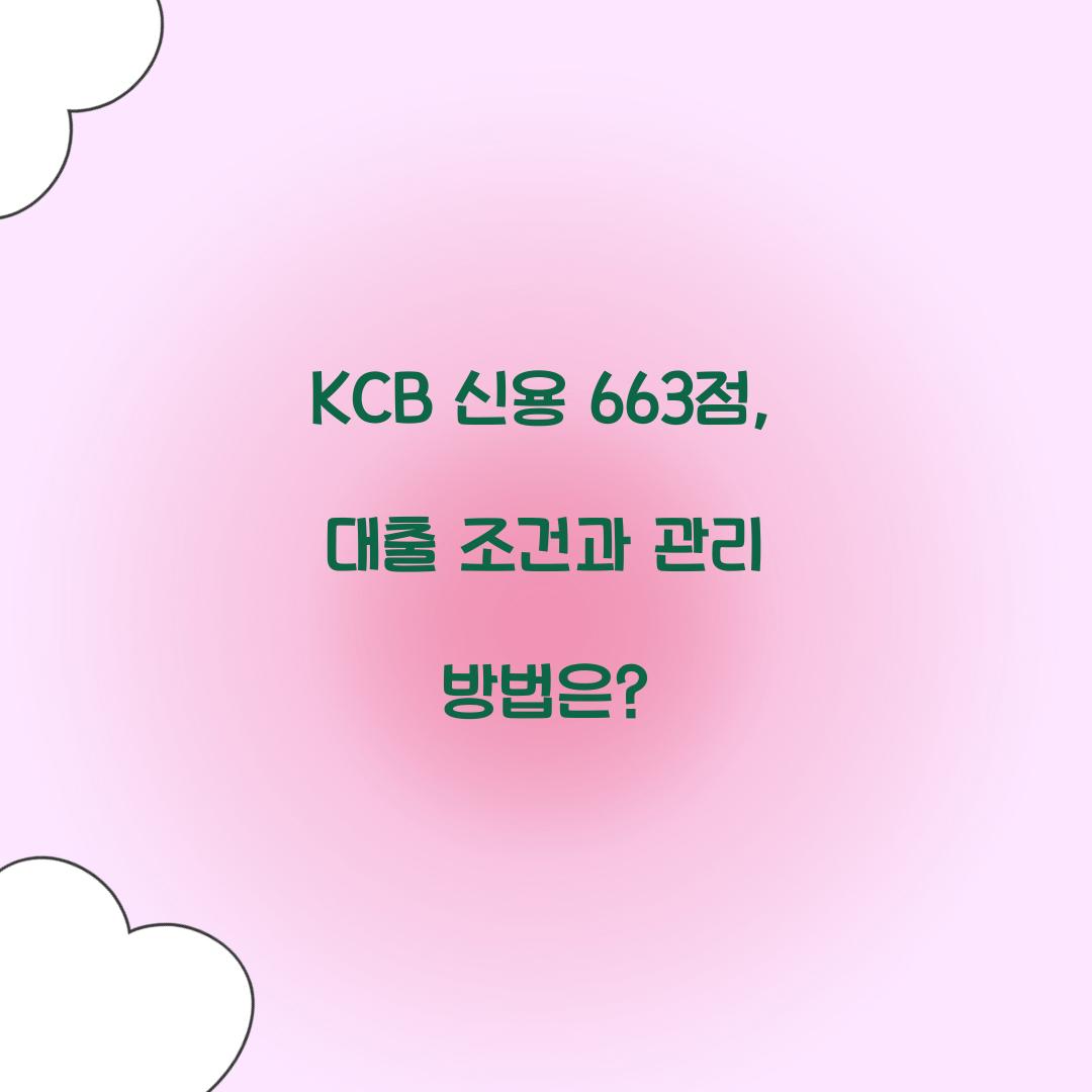 KCB 신용 663점