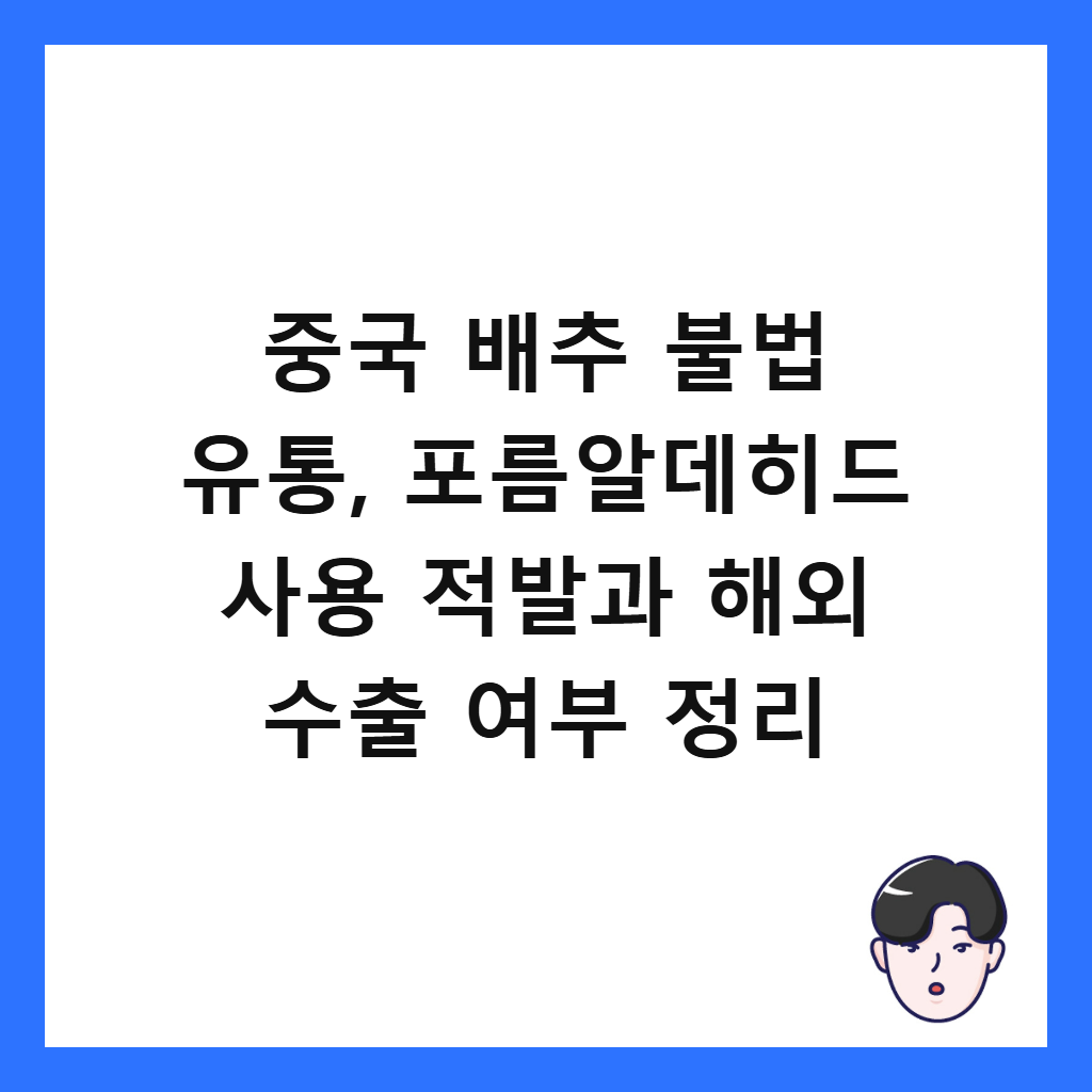 중국 배추 불법 유통, 포름알데히드 사용 적발과 해외 수출 여부 정리 썸네일