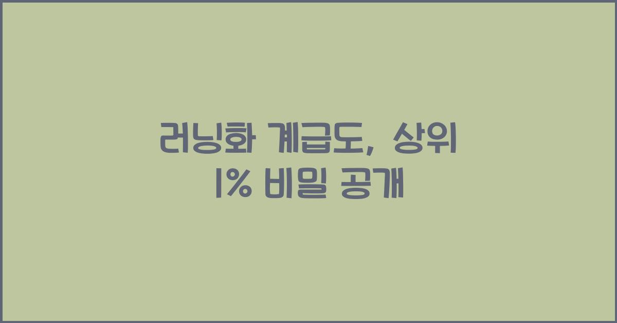 러닝화 계급도